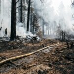 Brunswick County Wildfire Contained After Rapid Emergency Response Near Shallotte