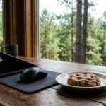 Understanding Cookies: How North & South Carolina Users Can Manage Website Data